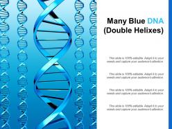 Many blue dna double helixes