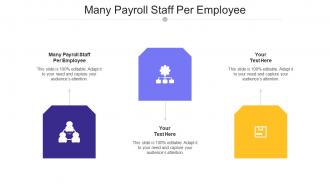 Many Payroll Staff Per Employee Ppt Powerpoint Presentation Layouts Visuals Cpb
