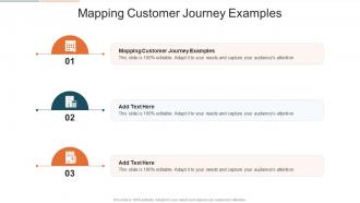 Mapping Customer Journey Examples In Powerpoint And Google Slides Cpb