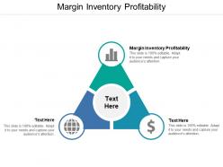 Margin inventory profitability ppt powerpoint presentation pictures shapes cpb