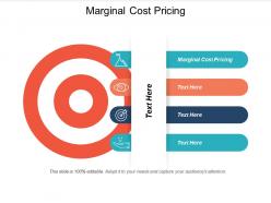 Marginal cost pricing ppt powerpoint presentation infographic template visual aids cpb