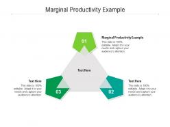 Marginal productivity example ppt powerpoint presentation model graphics cpb
