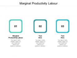 Marginal productivity labour ppt powerpoint presentation infographics display cpb