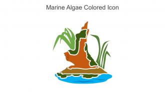 Marine Algae Colored Icon In Powerpoint Pptx Png And Editable Eps Format