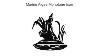 Marine Algae Monotone Icon In Powerpoint Pptx Png And Editable Eps Format