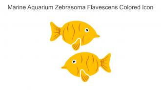 Marine Aquarium Zebrasoma Flavescens Colored Icon In Powerpoint Pptx Png And Editable Eps Format