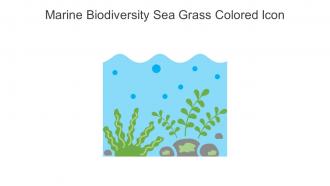 Marine Biodiversity Sea Grass Colored Icon In Powerpoint Pptx Png And Editable Eps Format