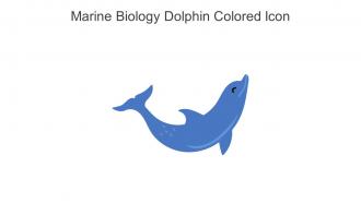 Marine Biology Dolphin Colored Icon In Powerpoint Pptx Png And Editable Eps Format