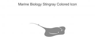 Marine Biology Stingray Colored Icon In Powerpoint Pptx Png And Editable Eps Format