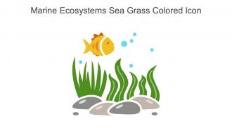 Marine Ecosystems Sea Grass Colored Icon In Powerpoint Pptx Png And Editable Eps Format