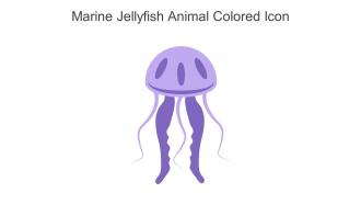 Marine Jellyfish Animal Colored Icon In Powerpoint Pptx Png And Editable Eps Format
