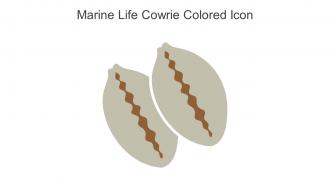 Marine Life Cowrie Colored Icon In Powerpoint Pptx Png And Editable Eps Format