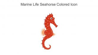 Marine Life Seahorse Colored Icon In Powerpoint Pptx Png And Editable Eps Format