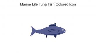 Marine Life Tuna Fish Colored Icon In Powerpoint Pptx Png And Editable Eps Format