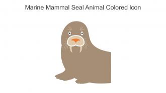 Marine Mammal Seal Animal Colored Icon In Powerpoint Pptx Png And Editable Eps Format