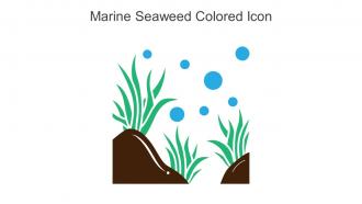 Marine Seaweed Colored Icon In Powerpoint Pptx Png And Editable Eps Format
