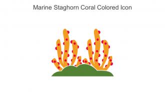 Marine Staghorn Coral Colored Icon In Powerpoint Pptx Png And Editable Eps Format