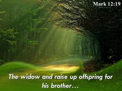 Mark 12 19 the widow and raise up off spring powerpoint church sermon