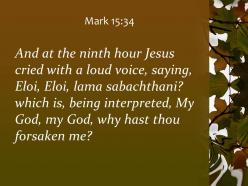Mark 15 34 the afternoon jesus cried out in powerpoint church sermon