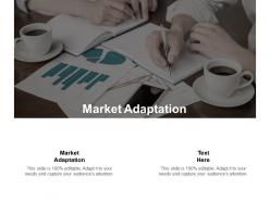 Market adaptation ppt powerpoint presentation inspiration guidelines cpb
