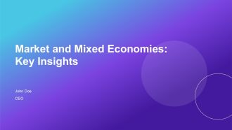 Market And Mixed Economies Key Insights PPT Graphics AT