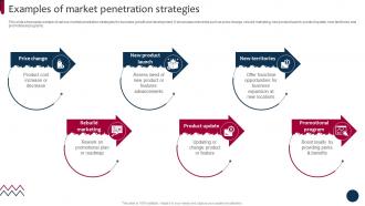 Market And Product Development Strategies Examples Of Market Penetration Strategy SS