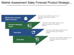 Market Assessment Sales Forecast Product Strategic Plans Portfolio Management