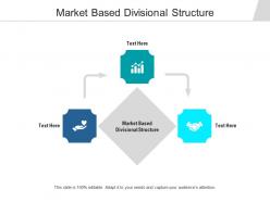 Market based divisional structure ppt powerpoint presentation slides mockup cpb