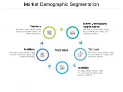 Market demographic segmentation ppt powerpoint presentation slides designs cpb