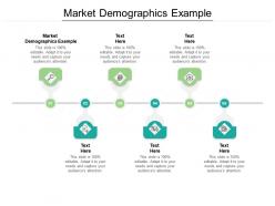 Market demographics example ppt powerpoint presentation professional file formats cpb
