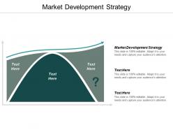 Market development strategy ppt powerpoint presentation icon influencers cpb