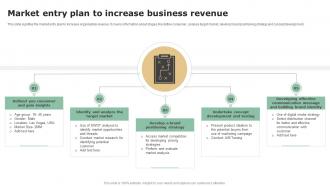 Market Entry Plan To Increase Business Revenue