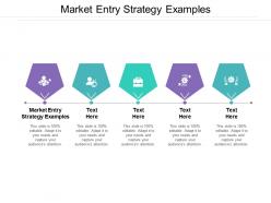 Market entry strategy examples ppt powerpoint presentation gallery information cpb