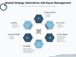 Market Entry Strategy Investment Evaluate Enterprise Business Development