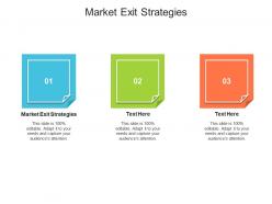 Market exit strategies ppt powerpoint presentation show slides cpb