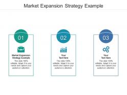 Market expansion strategy example ppt powerpoint presentation file picture cpb