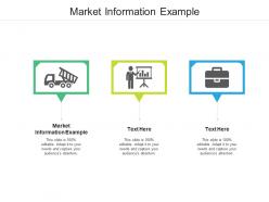 Market information example ppt powerpoint presentation styles backgrounds cpb