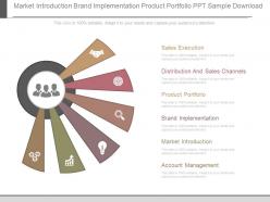 Market introduction brand implementation product portfolio ppt sample download