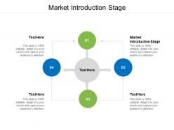 Market introduction stage ppt powerpoint presentation infographic template gallery cpb
