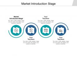 Market introduction stage ppt powerpoint presentation portfolio graphics tutorials cpb