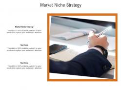 Market niche strategy ppt powerpoint presentation layouts graphics download cpb