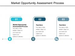 Market opportunity assessment process ppt powerpoint presentation layouts layouts cpb