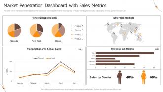 Market Penetration Dashboard With Sales Metrics