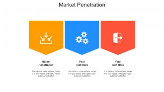 Market penetration ppt powerpoint presentation summary aids cpb
