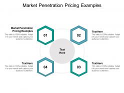 Market penetration pricing examples ppt powerpoint presentation professional vector cpb