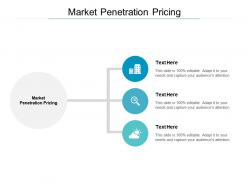 Market penetration pricing ppt powerpoint presentation ideas gridlines cpb