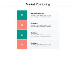 Market positioning ppt powerpoint presentation portfolio professional cpb