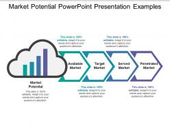 Market Potential Powerpoint Presentation Examples