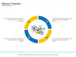 Market Potential Product Channel Segmentation Ppt Pictures
