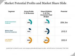 Market potential profits and market share ppt presentation